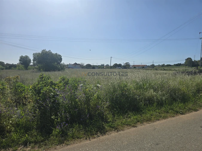 Terreno para Venda em Soza Foto 6