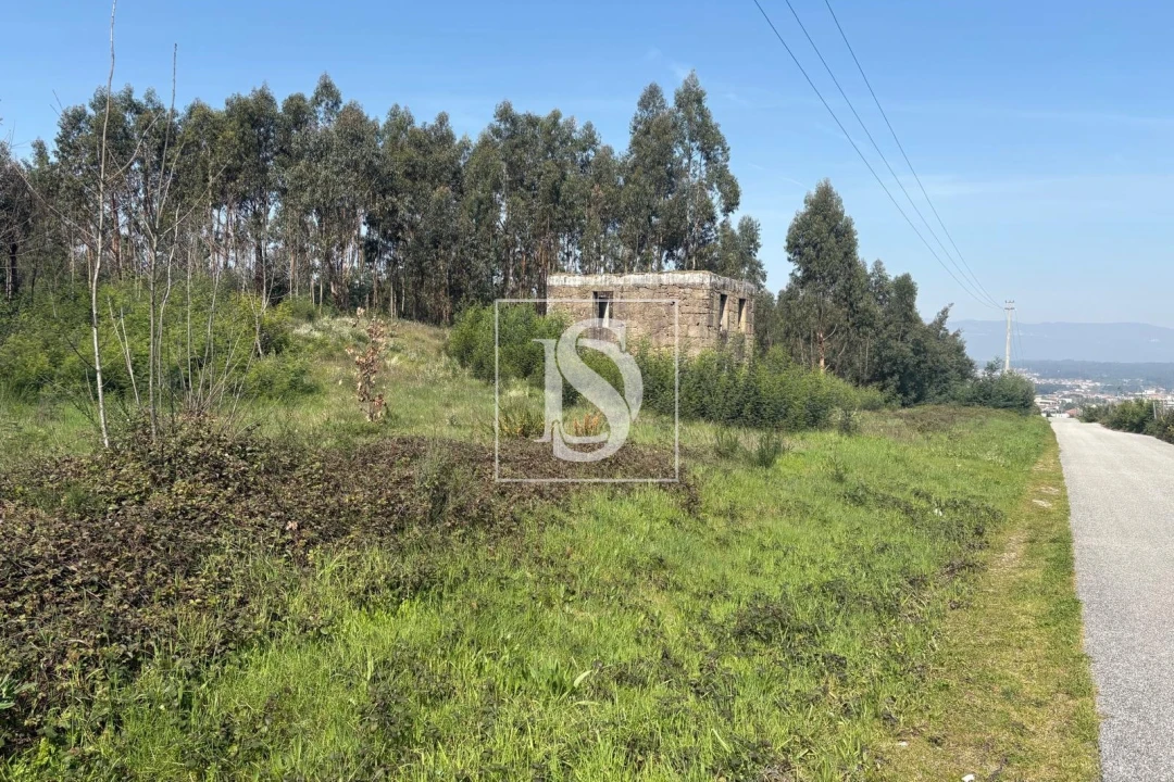 Terreno para Venda em Tondela e Nandufe Foto 16