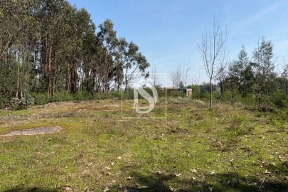 Terreno para Venda em Tondela e Nandufe