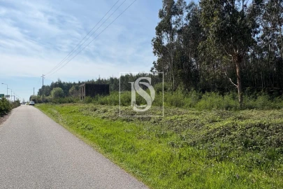 Terreno para Venda em Tondela e Nandufe