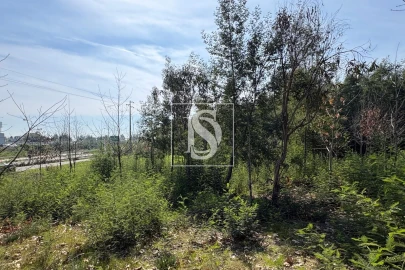 Terreno para Venda em Tondela e Nandufe