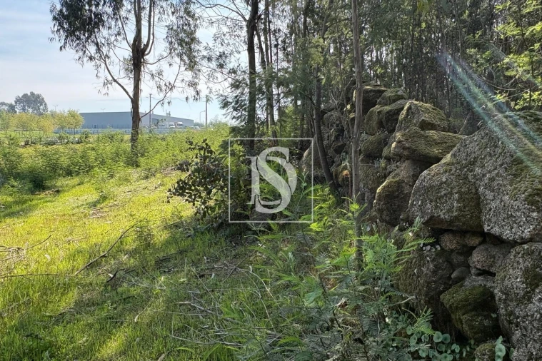 Terreno para Venda em Tondela e Nandufe Foto 13