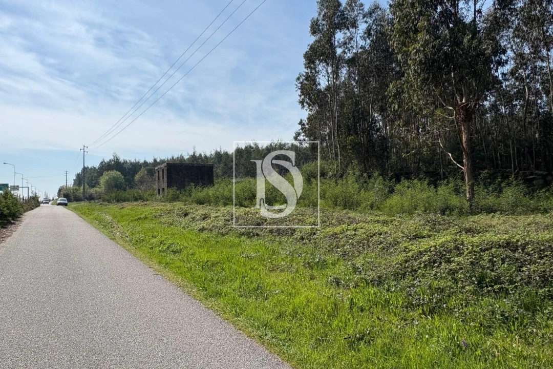 Terreno para Venda em Tondela e Nandufe Foto 14
