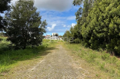 Terreno para Venda em Santa Maria de Lamas