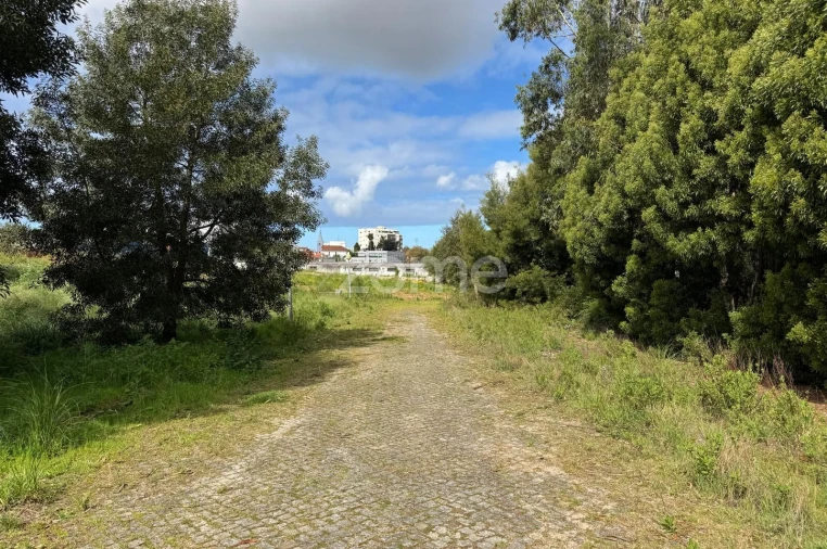 Terreno para Venda em Santa Maria de Lamas Foto 13