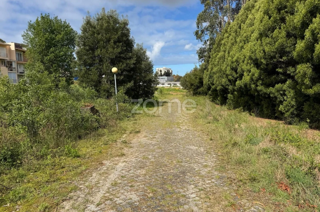 Terreno para Venda em Santa Maria de Lamas Foto 12