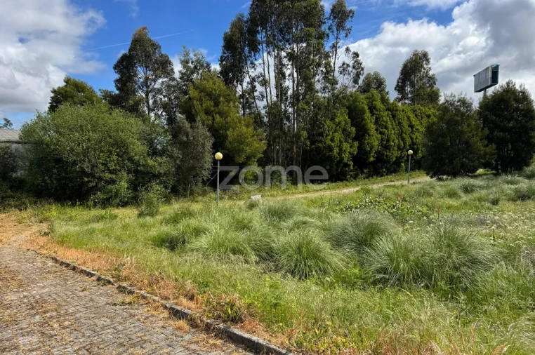 Terreno para Venda em Santa Maria de Lamas Foto 21