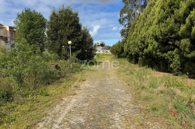Terreno para Venda em Santa Maria de Lamas Foto 12