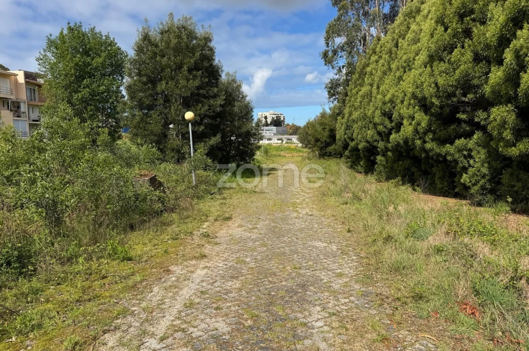 Terreno para Venda em Santa Maria de Lamas Foto 12