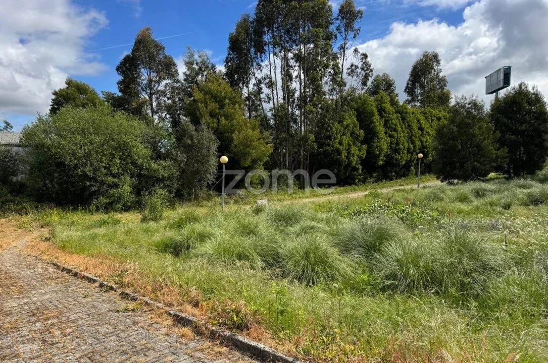 Terreno para Venda em Santa Maria de Lamas Foto 21