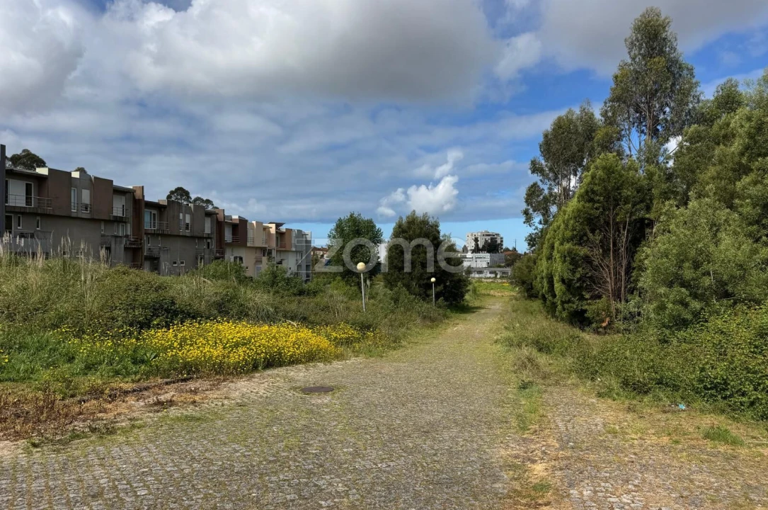 Terreno para Venda em Santa Maria de Lamas Foto 11