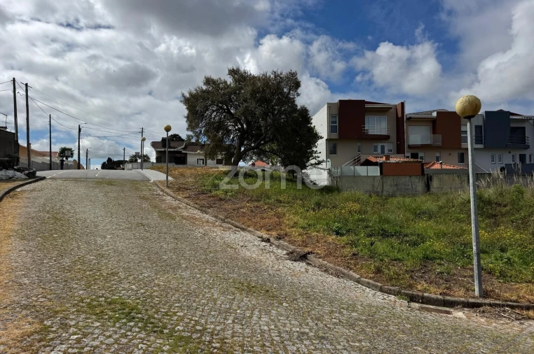 Terreno para Venda em Santa Maria de Lamas Foto 7