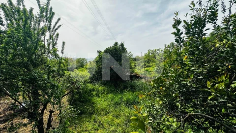 Apartamento T3 para Venda em Boidobra