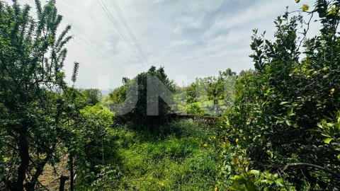Apartamento T3 para Venda em Boidobra
