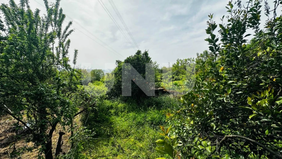 Apartamento T3 para Venda em Boidobra Foto 12