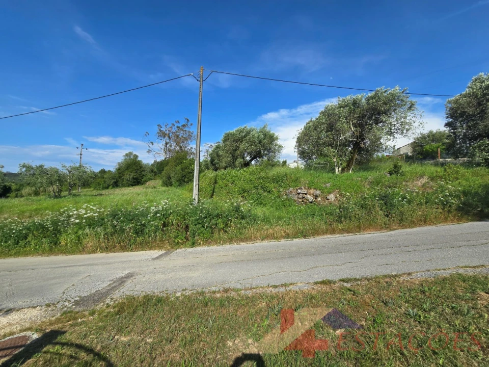 Terreno para Venda em Pombal Foto 5