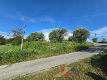 Terreno para Venda em Pombal