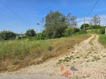 Terreno para Venda em Pombal