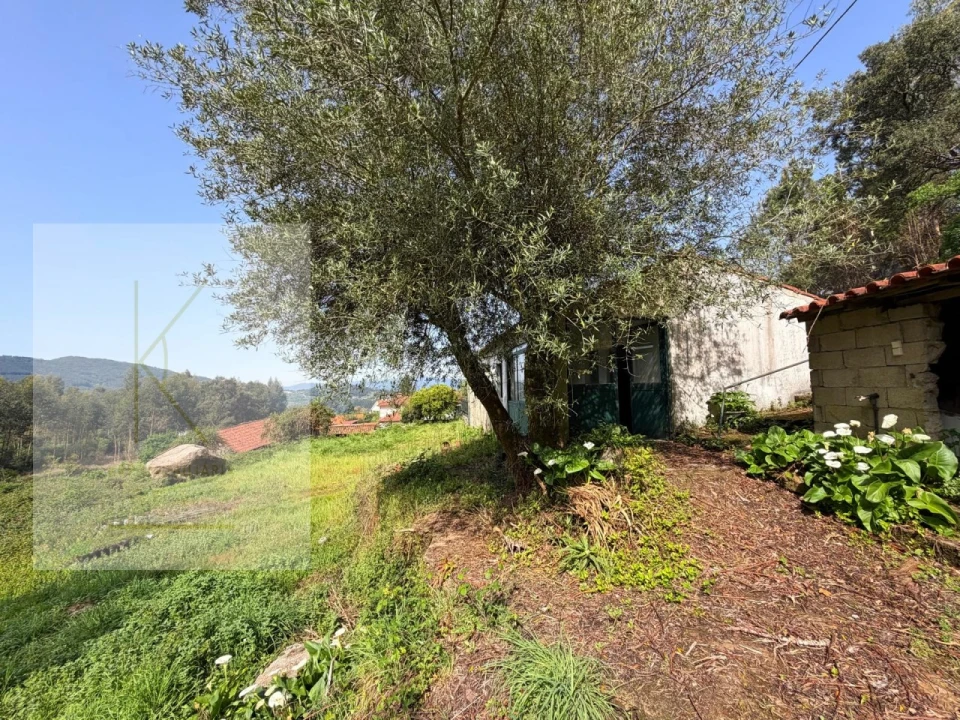 Moradia T2 para Venda em Facha Foto 32