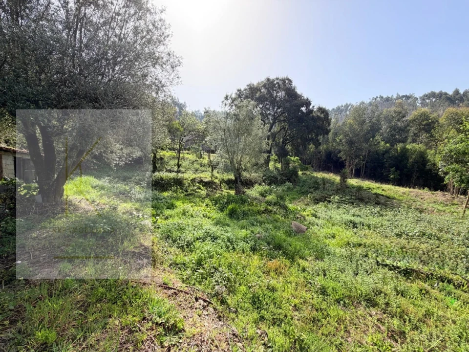 Moradia T2 para Venda em Facha Foto 34