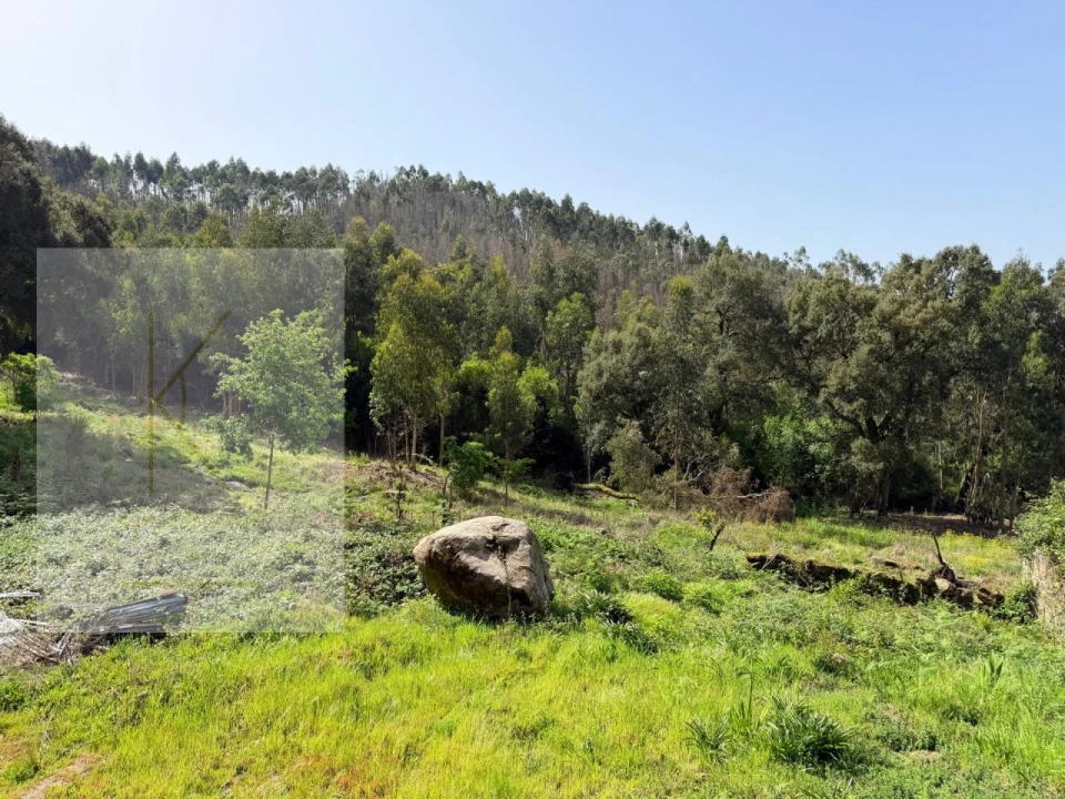 Moradia T2 para Venda em Facha Foto 40