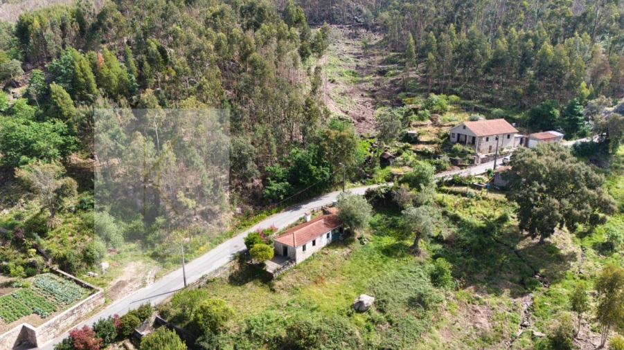 Moradia T2 para Venda em Facha Foto 6