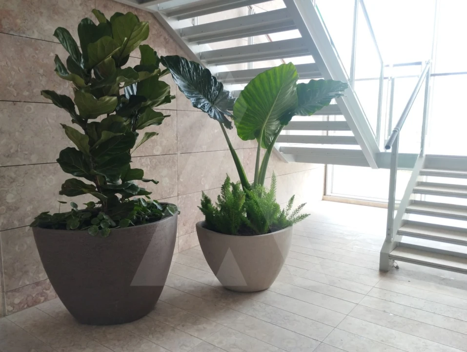 Apartamento T2 para Arrendamento em Marvila Foto 18