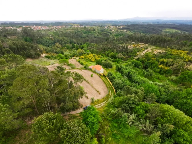 Moradia T3 para Venda em Currelos, Papízios e Sobral Foto 25