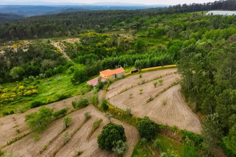 Moradia T3 para Venda em Currelos, Papízios e Sobral Foto 27
