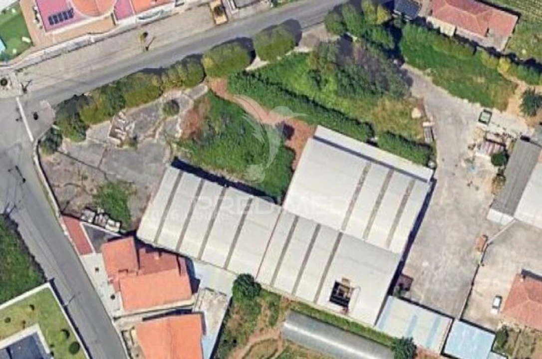 Armazém para Venda em Santa Maria de Lamas Foto 5