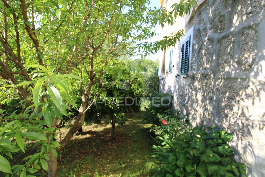 Quinta T3 para Venda em Fonte Arcada Foto 24