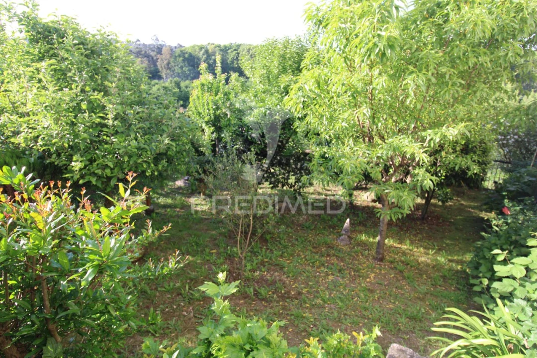 Quinta T3 para Venda em Fonte Arcada Foto 23