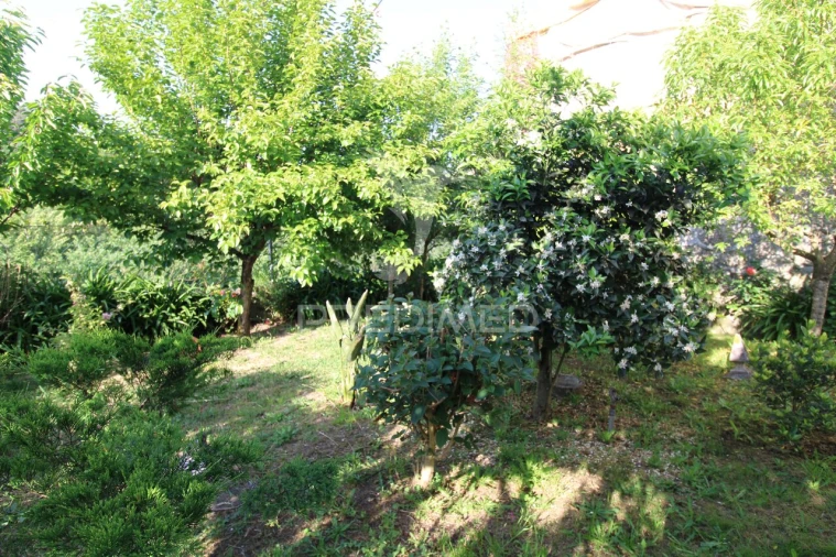Quinta T3 para Venda em Fonte Arcada Foto 25
