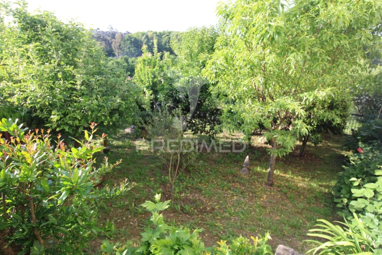Quinta T3 para Venda em Fonte Arcada Foto 23