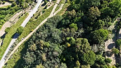 Terreno para Venda em Barqueiros