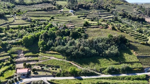 Terreno para Venda em Barqueiros