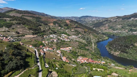 Terreno para Venda em Barqueiros