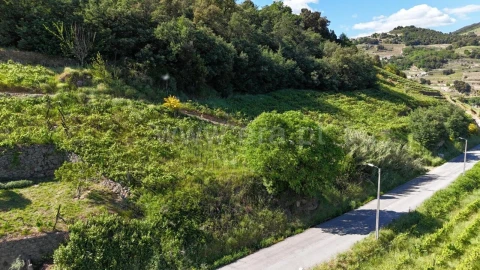 Terreno para Venda em Barqueiros
