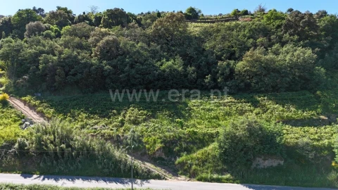Terreno para Venda em Barqueiros
