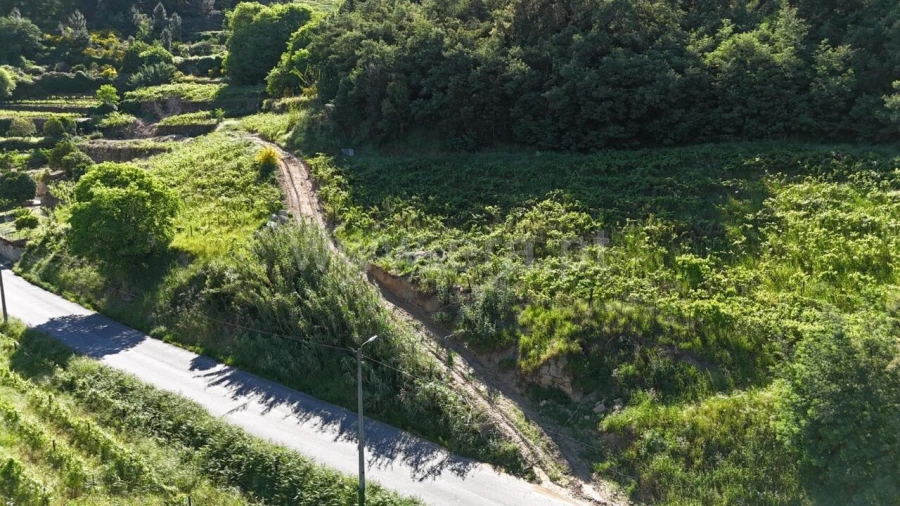 Terreno para Venda em Barqueiros Foto 7