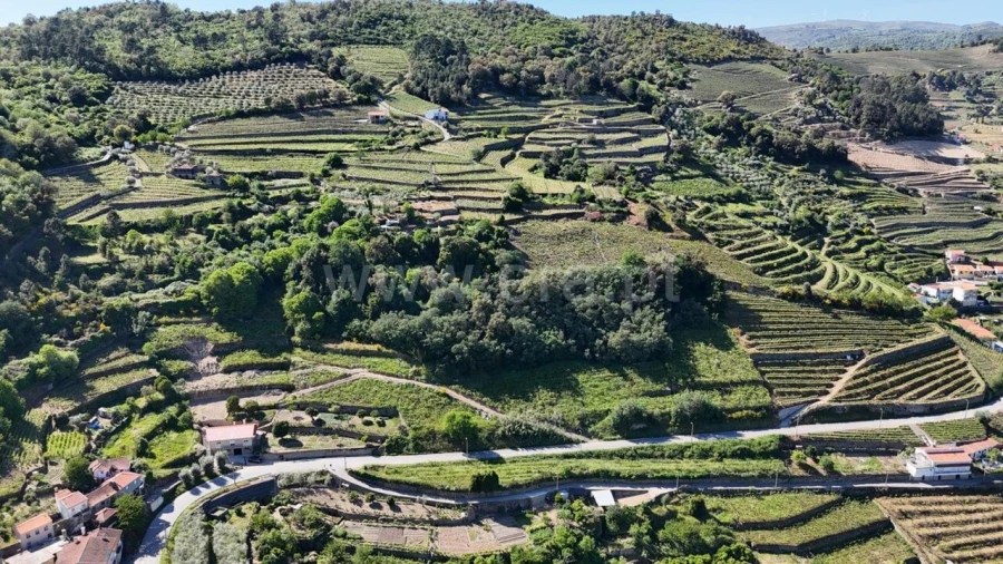 Terreno para Venda em Barqueiros Foto 11