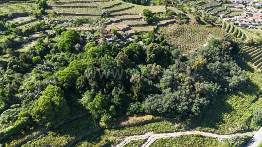 Terreno para Venda em Barqueiros Foto 17