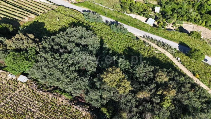 Terreno para Venda em Barqueiros Foto 20