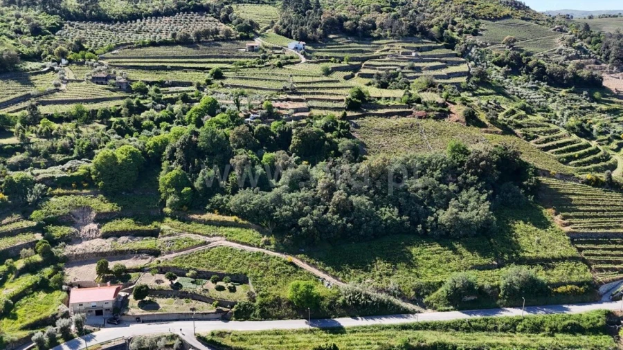 Terreno para Venda em Barqueiros Foto 9