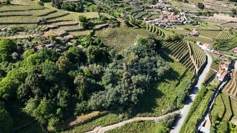 Terreno para Venda em Barqueiros Foto 16