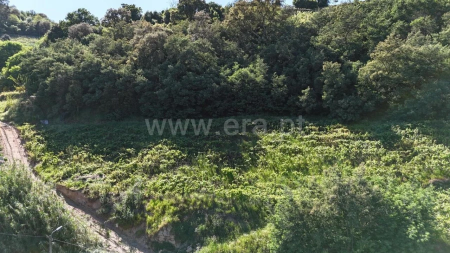 Terreno para Venda em Barqueiros Foto 2