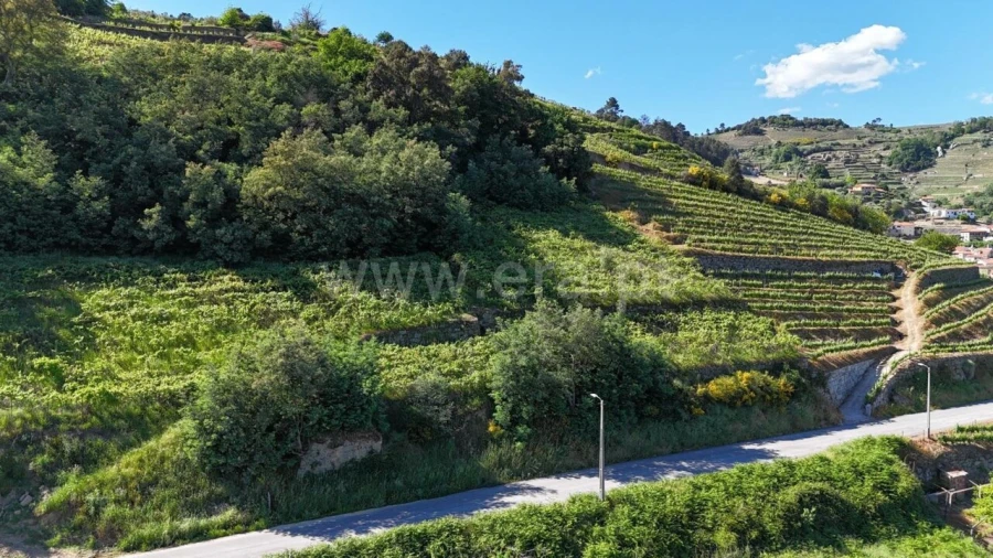 Terreno para Venda em Barqueiros Foto 5