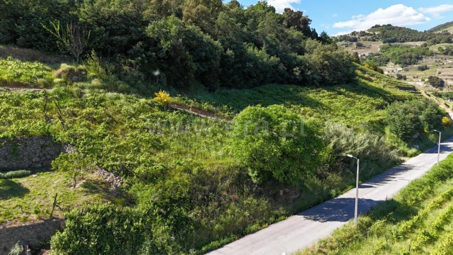 Terreno para Venda em Barqueiros Foto 3