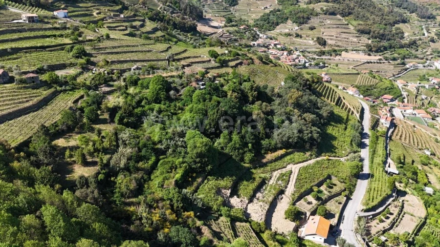 Terreno para Venda em Barqueiros Foto 12