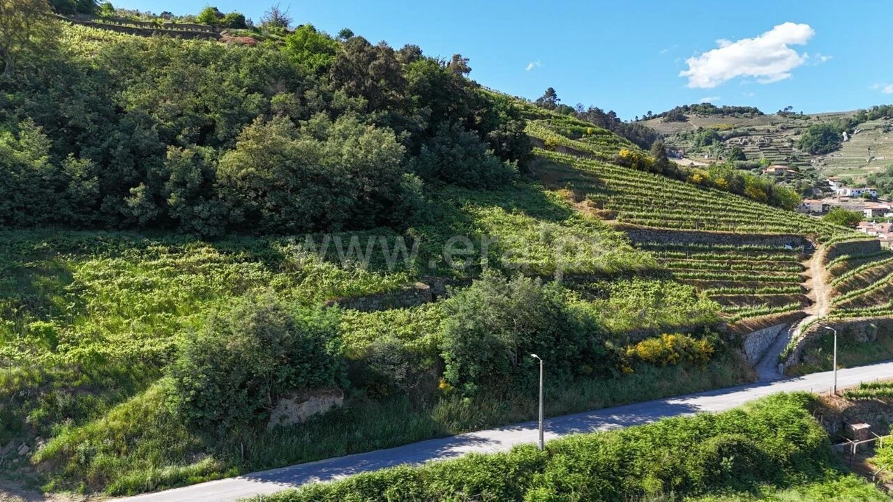 Terreno para Venda em Barqueiros Foto 5